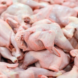 تولیدکننده مرغ بدون آنتی بیوتیک
