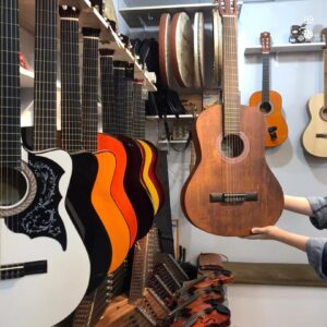گالری موسیقی آویژه تخصصی ترین مرکز فروش گیتار